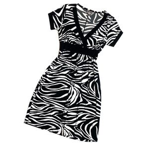 Vintage Sweet Storm Y2K Zebra Dress